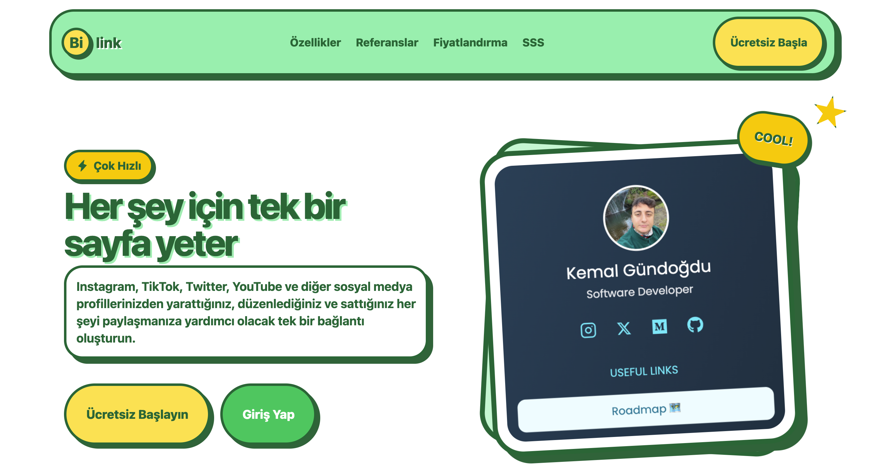 Bilink