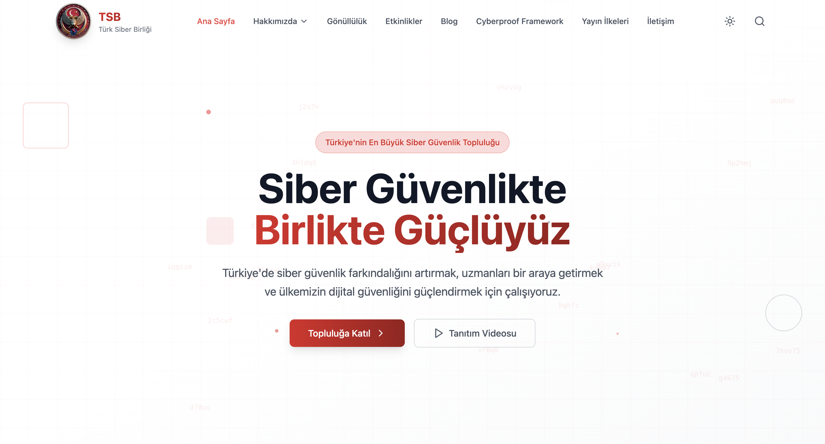Türk Siber Birliği